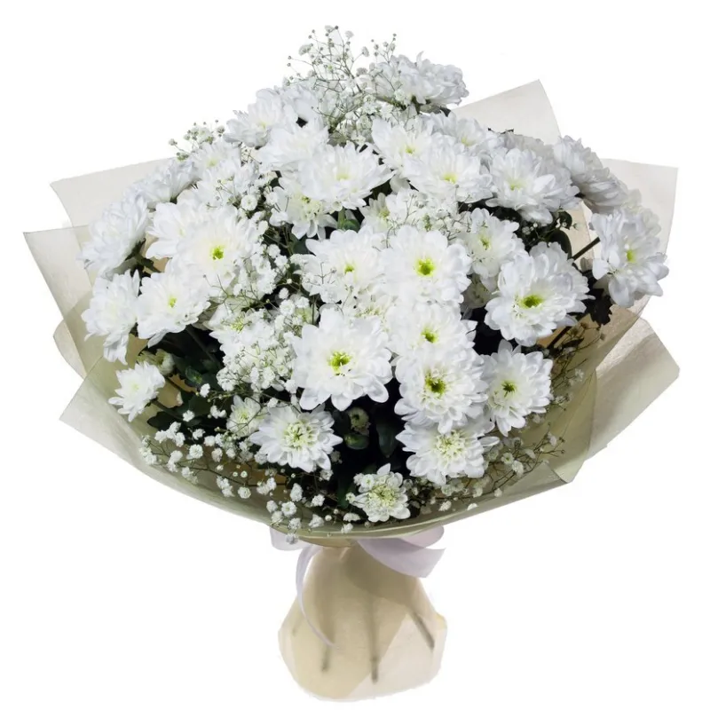Букет из 5 хризантем с гипсофилой, доставка Корсаков